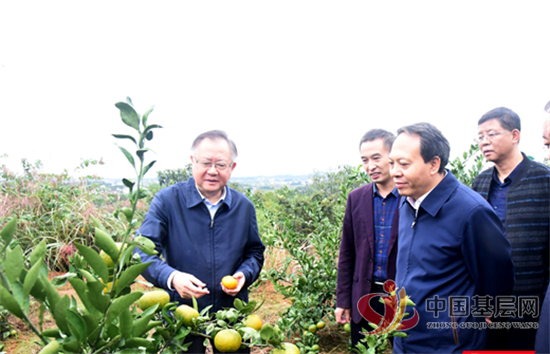 16533463479063505_92.png 16533463479063505_92.png