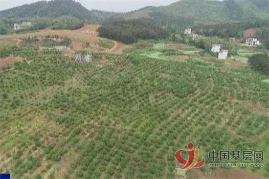 13191091125451046_92.jpg 13191091125451046_92.jpg