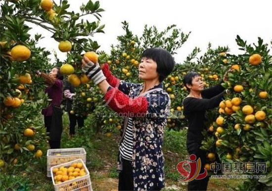 13221076392626464_92.jpg 13221076392626464_92.jpg