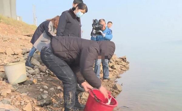 1608791370527010.jpg 22222222222222.jpg