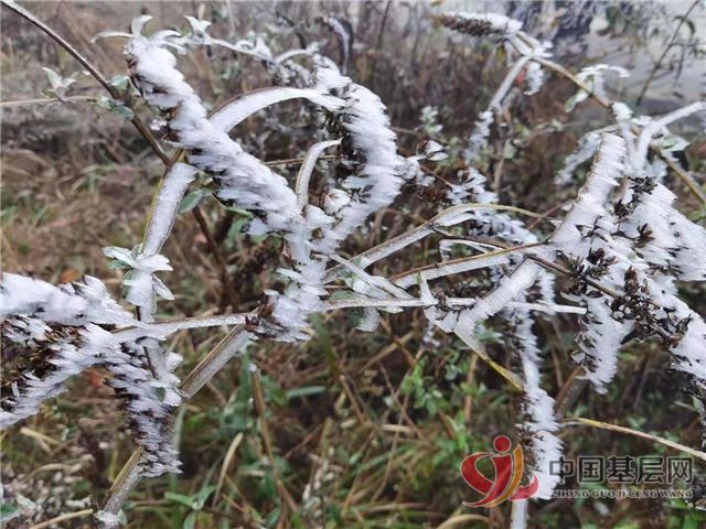 21414195615405646_72.jpg 21414195615405646_72.jpg