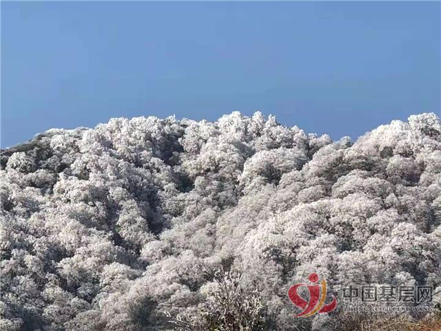 21435118674723613_72.jpg 21435118674723613_72.jpg