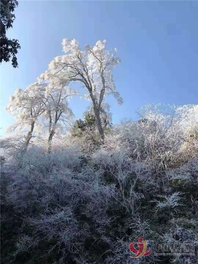 21451157362686297_72.jpg 21451157362686297_72.jpg