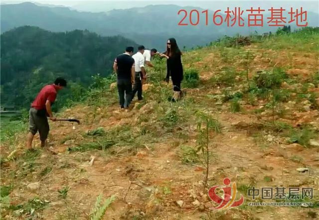 08453746203222972_105.jpg 08453746203222972_105.jpg