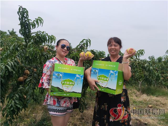 08460468408603942_105.jpg 08460468408603942_105.jpg