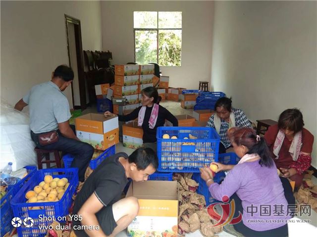 08462058043875999_105.jpg 08462058043875999_105.jpg