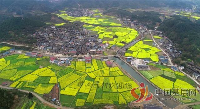 08465323131562411_105.jpg 08465323131562411_105.jpg