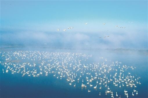 15335824905102403_105.jpg 15335824905102403_105.jpg