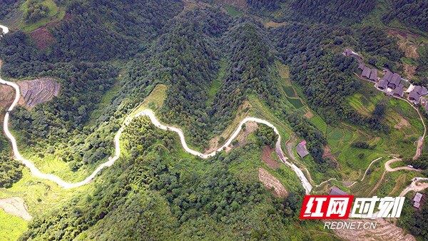 15513188002167267_105.jpg 15513188002167267_105.jpg