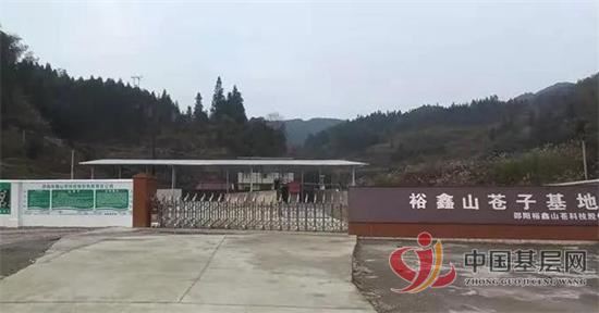 08072060806580982_92.jpg 08072060806580982_92.jpg