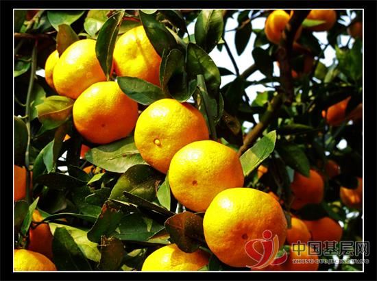 11415531364742048_92.jpg 11415531364742048_92.jpg