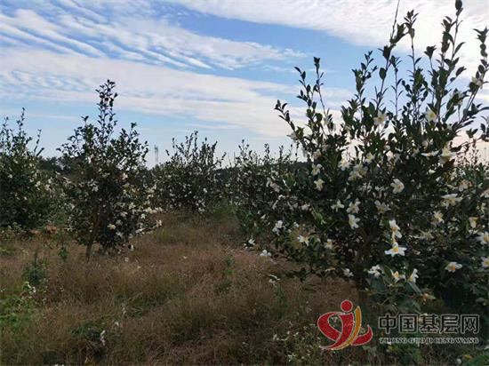 11423108441501187_92.jpg 11423108441501187_92.jpg