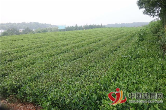 11431467091022883_92.png 11431467091022883_92.png