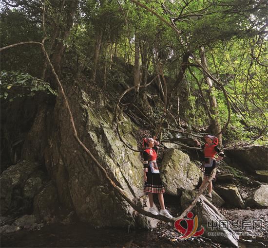 22122119841043679_92.jpg 22122119841043679_92.jpg