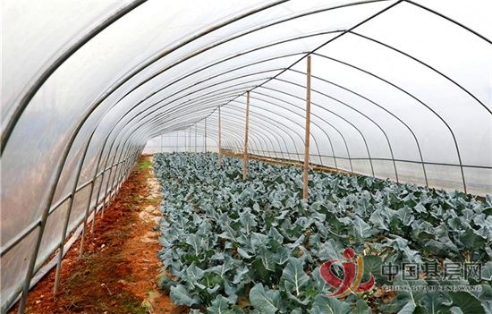 22311561689189915_92.jpg 22311561689189915_92.jpg