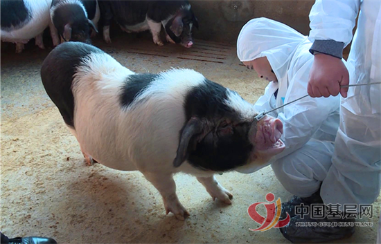 22323307098492767_92.png 22323307098492767_92.png