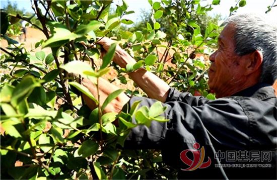 22381677079521888_92.jpg 22381677079521888_92.jpg