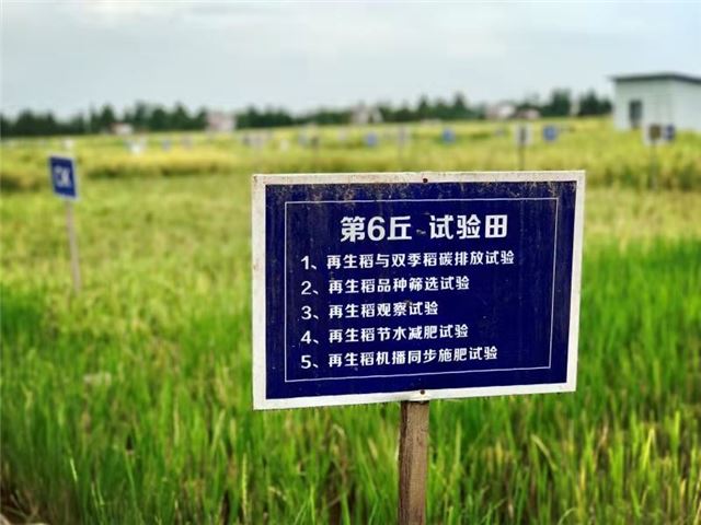 21114374243658441_105.jpg 21114374243658441_105.jpg