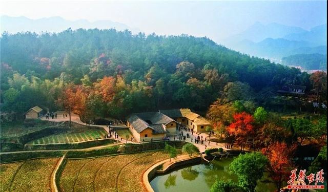 14501938139129940_105.jpg 14501938139129940_105.jpg