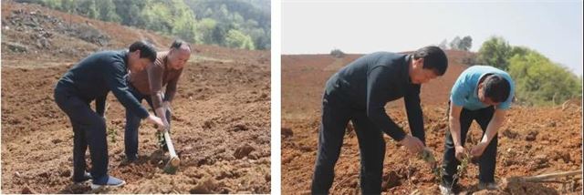 10050374922277524_105.jpg 10050374922277524_105.jpg