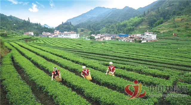 18030096755533004_105.jpg 18030096755533004_105.jpg