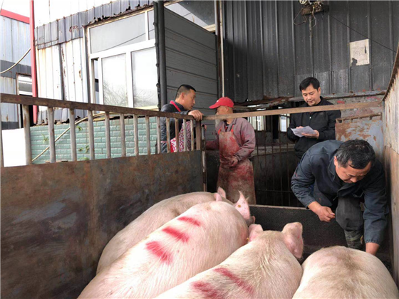 17301876238397833_110.png 17301876238397833_110.png