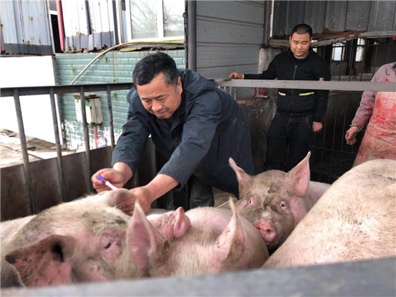 17303035314079666_110.png 17303035314079666_110.png