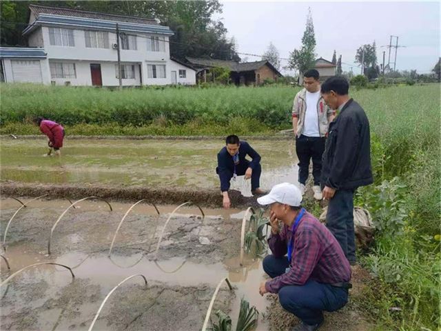 08171602125250849_110.jpg 08171602125250849_110.jpg