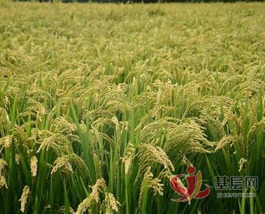 19503311935235688_94.jpg 19503311935235688_94.jpg