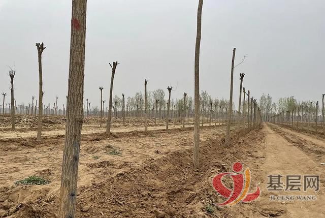 20023150066740975_94.jpg 20023150066740975_94.jpg