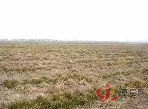 20042394567885515_94.jpg 20042394567885515_94.jpg