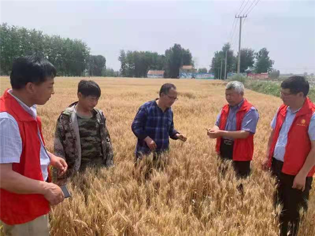 10242850157847856_93.png 10242850157847856_93.png