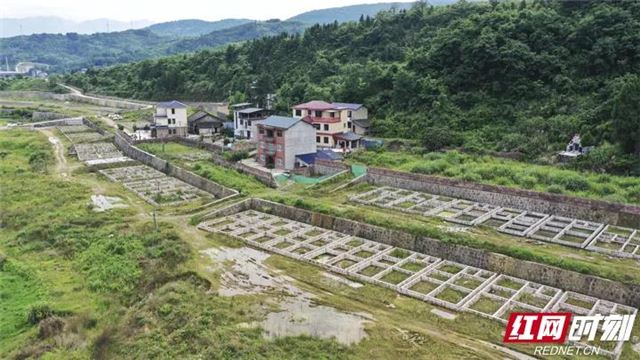 15232955728780715_105.jpg 15232955728780715_105.jpg