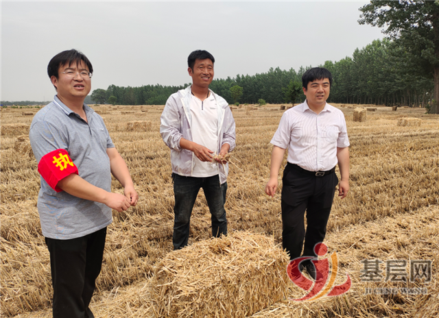 11435544623783992_96.png 11435544623783992_96.png