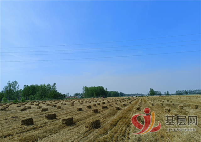 13353230701466450_96.png 13353230701466450_96.png