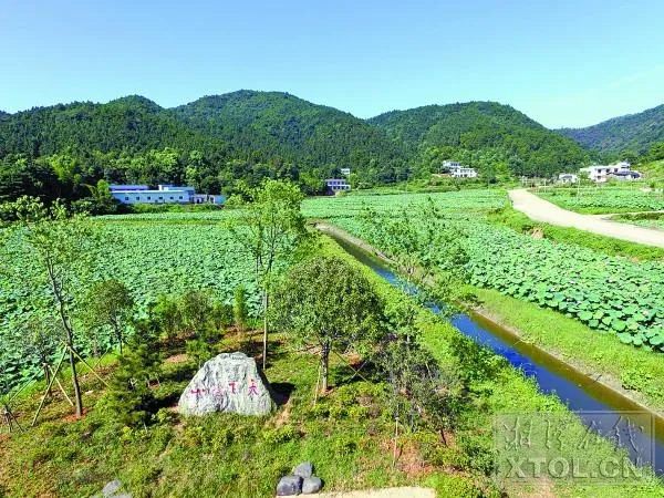 15285058267217890_105.jpg 15285058267217890_105.jpg