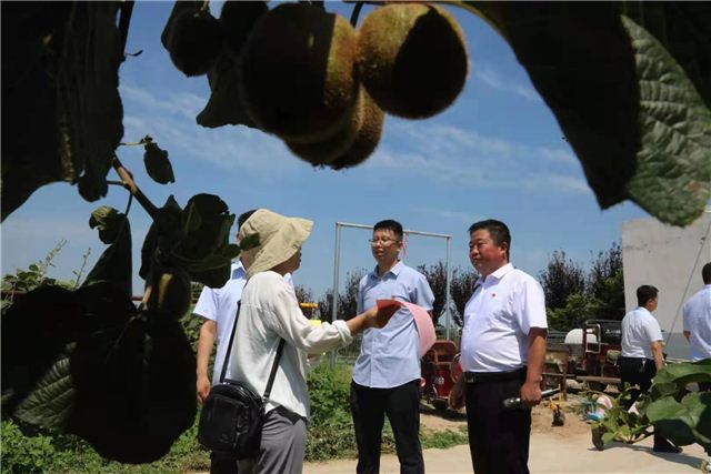 08494471998639505_56.jpg 08494471998639505_56.jpg