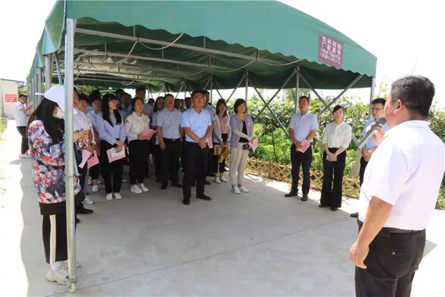 08495783956438283_56.jpg 08495783956438283_56.jpg