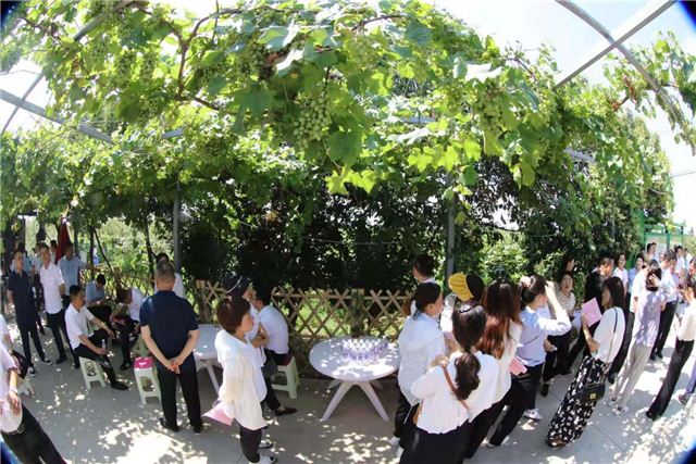 08502721444002241_56.jpg 08502721444002241_56.jpg