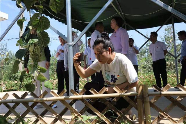 08511476325989597_56.jpg 08511476325989597_56.jpg