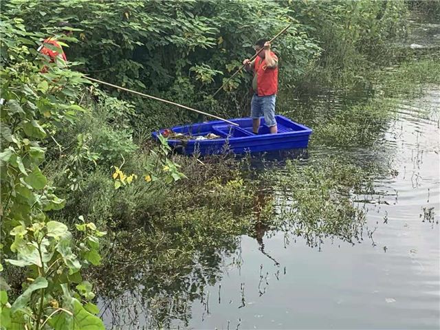 清河行动6.jpg 清河行动6.jpg