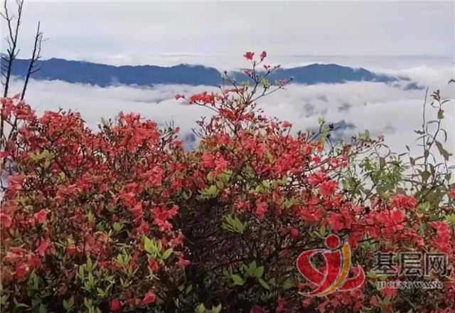 18511983335591554_75.jpg 18511983335591554_75.jpg