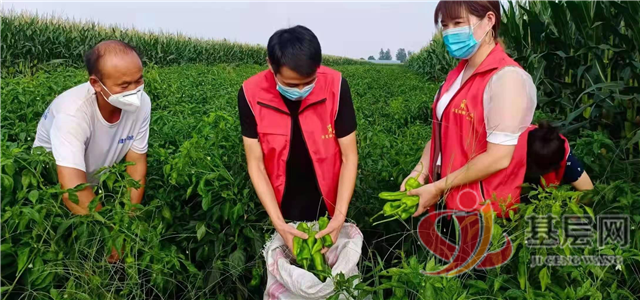 15482733779570272_96.png 15482733779570272_96.png