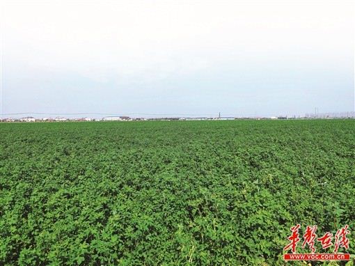 15155920846503740_105.jpg 15155920846503740_105.jpg