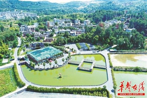 1521092834487018_105.jpg 1521092834487018_105.jpg