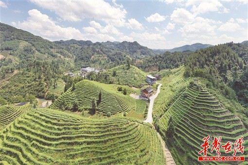 22252516063863921_105.jpg 22252516063863921_105.jpg