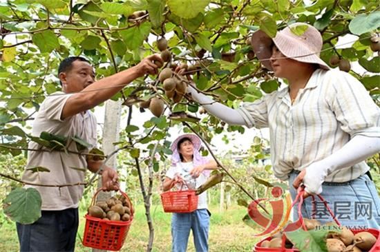 09053707996378372_92.jpg 09053707996378372_92.jpg