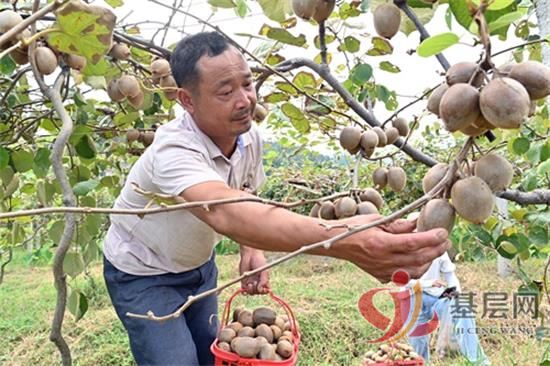 09060522237310291_92.jpg 09060522237310291_92.jpg