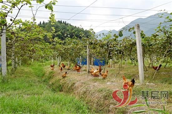 09063639122056472_92.jpg 09063639122056472_92.jpg