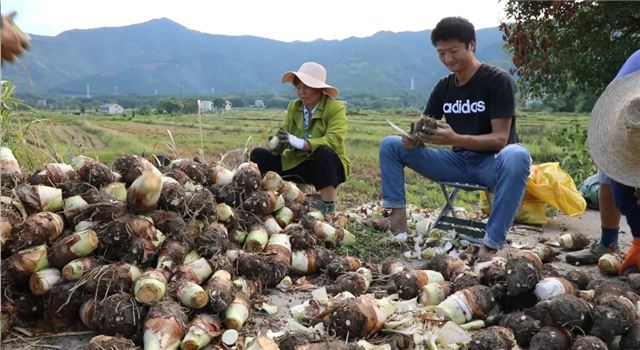 20545782457043589_105.jpg 20545782457043589_105.jpg